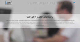 Agency 12